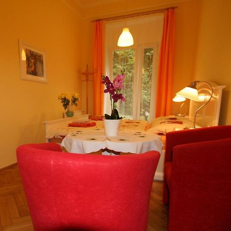 Apartment No. 12 Trziste 29 Karlovy Vary Dış mekan fotoğraf
