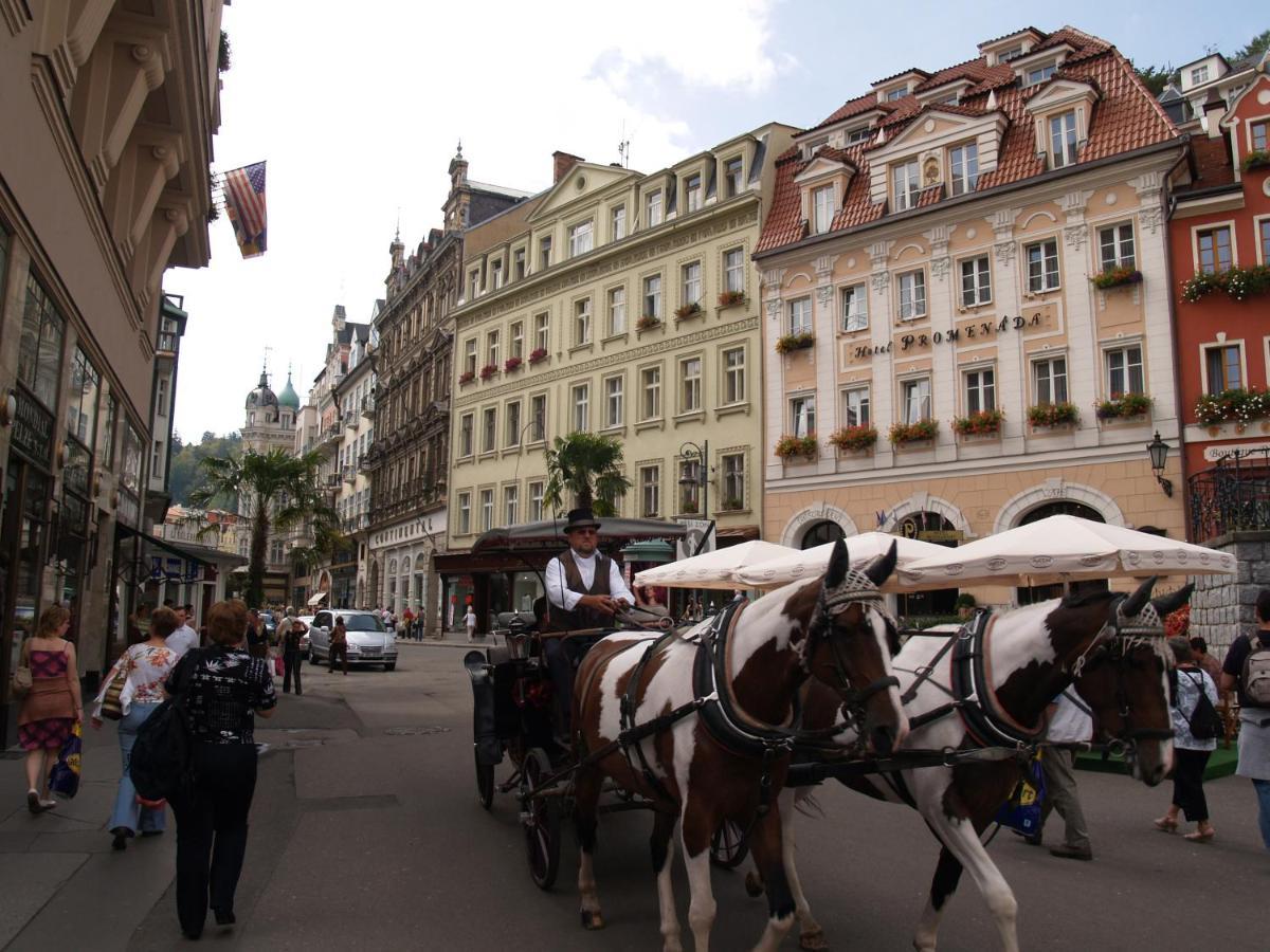 Apartment No. 12 Trziste 29 Karlovy Vary Dış mekan fotoğraf